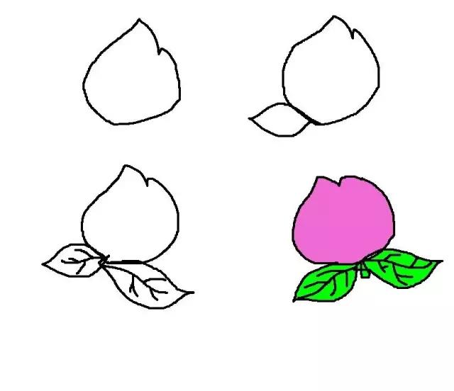 简笔画水果步骤(儿童水果简笔画教程大全)