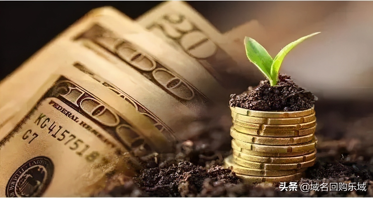 抢注域名（域名百科）