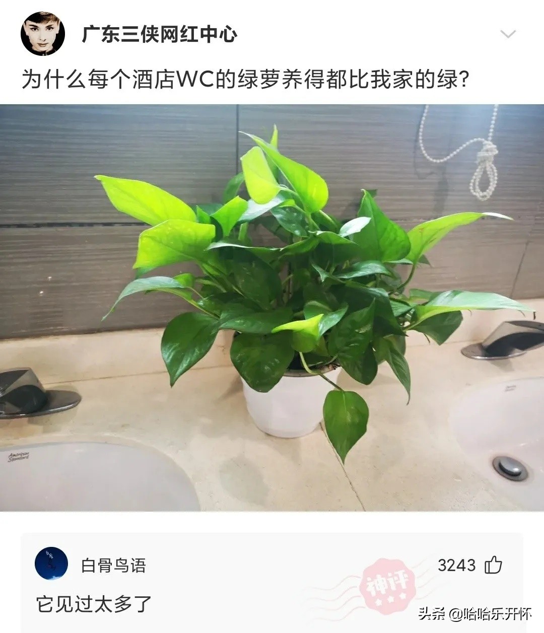 神评爆笑合集：酒桌文化是酒满敬人、茶满欺人，那给自己倒满呢？