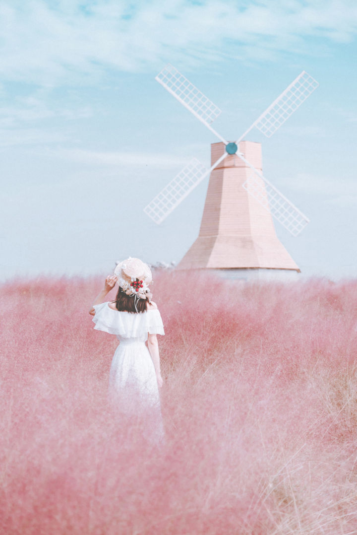 一眼望去,成片的粉色花海很适合拍摄背影照,但如果你想在粉黛花海中拍