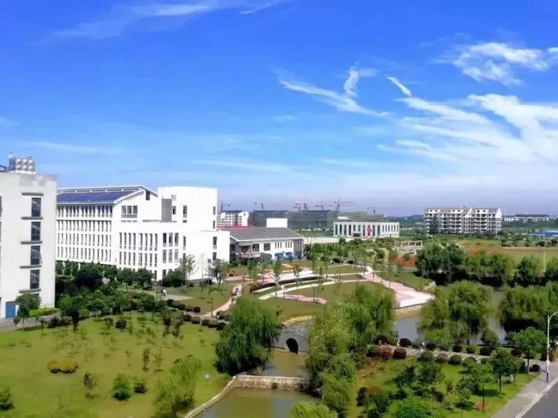 合肥有哪些学校(合肥有哪些学校可以专升本)-爱妻自媒体