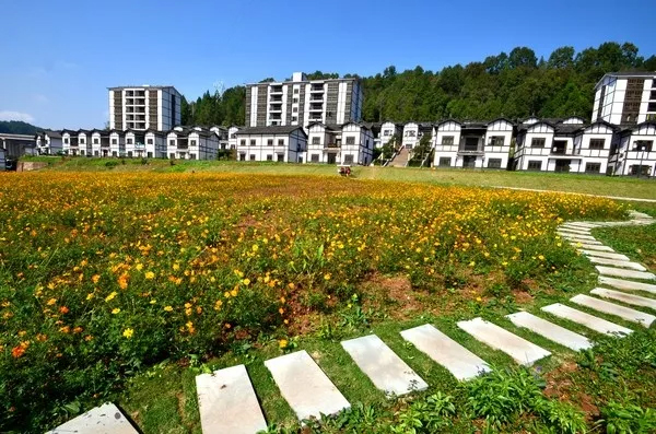 駟馬水鄉(四川省巴中市平昌縣駟馬水鄉)-驍龍網