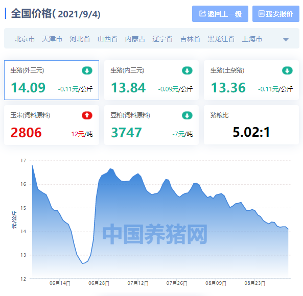 北京猪价今日生猪价格「全国生猪价格今日猪价最新行情」