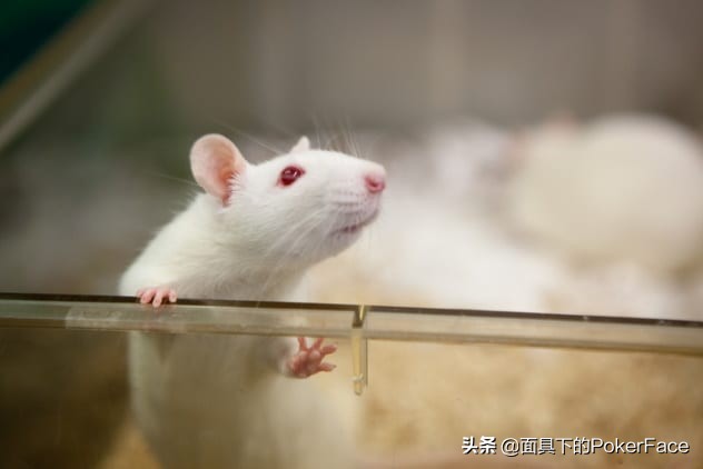 激光的十大神奇应用：东北师范大学在激光全息领域上鹤立鸡群