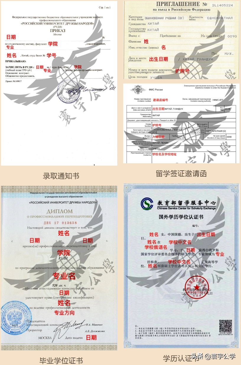 在俄罗斯人民友谊大学（РУДН）读书是种什么样的体验？