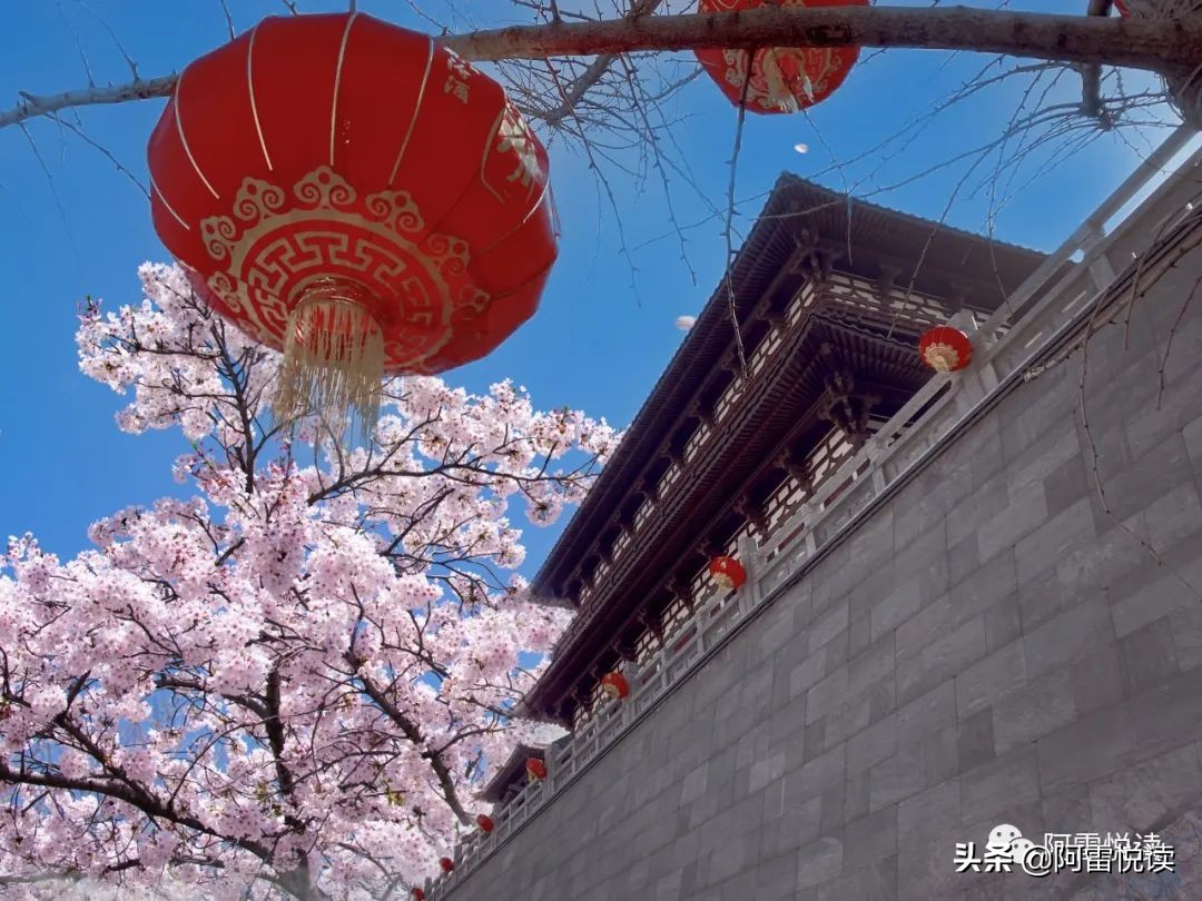 教育学 习题集02