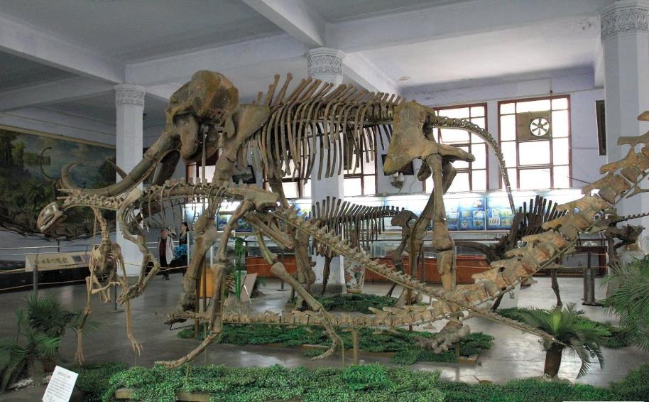 “最可爱”大学校徽回归，兰州大学表示不服气，校徽表情包上线