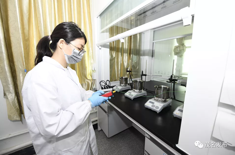 庄悦群到广东石油化工学院及茂名绿色化工研究院调研：以科技创新赋能产业转型升级