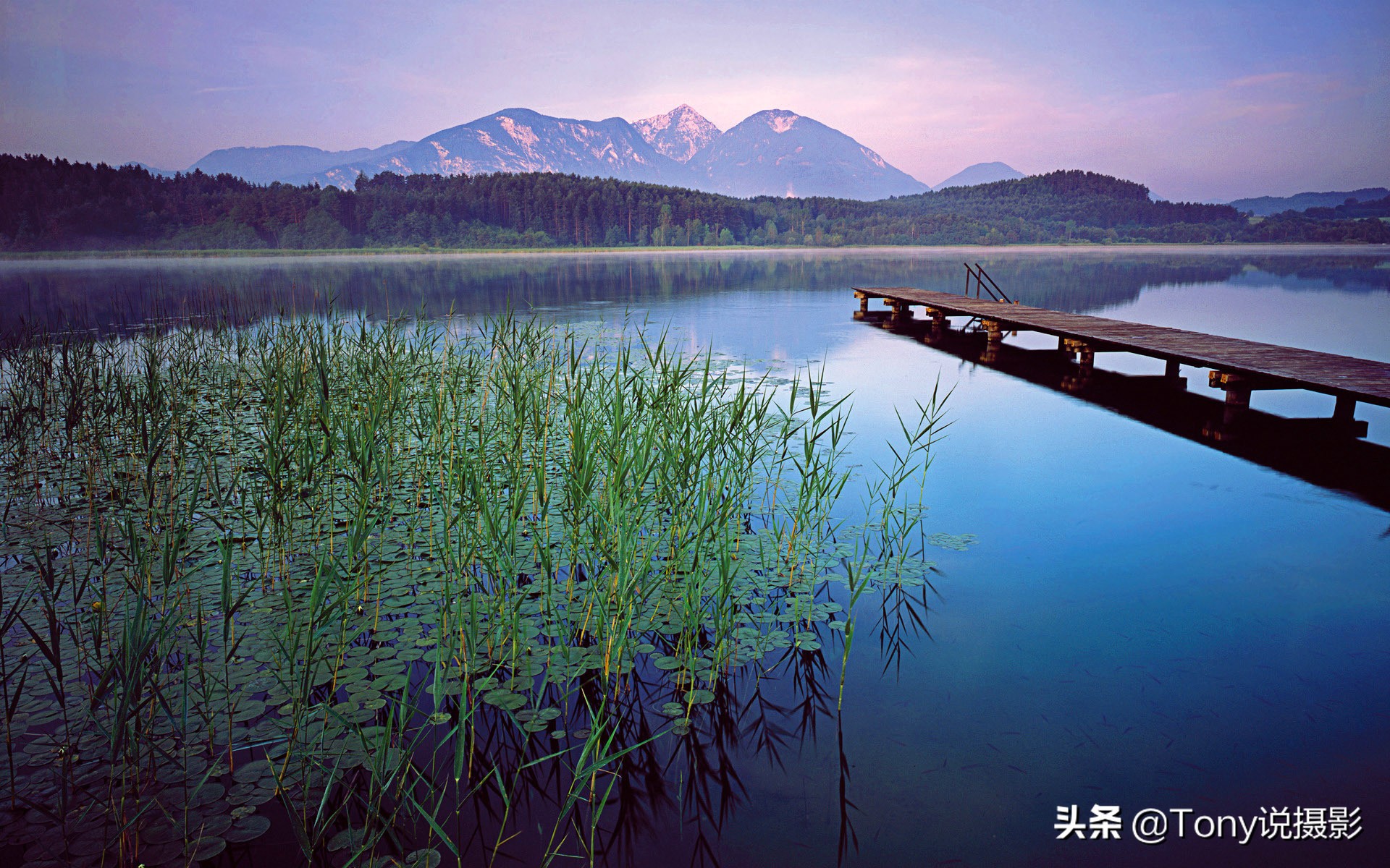 苹果11主屏幕上的小光圈怎么设置(苹果11主屏幕上面一个长方形)-友友