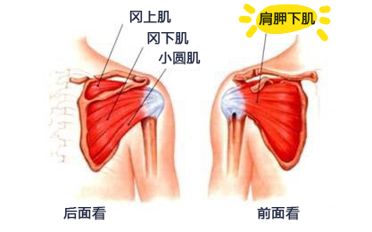 打排球胳膊疼怎么办(一招缓解打球肩膀疼，用了都说好！)