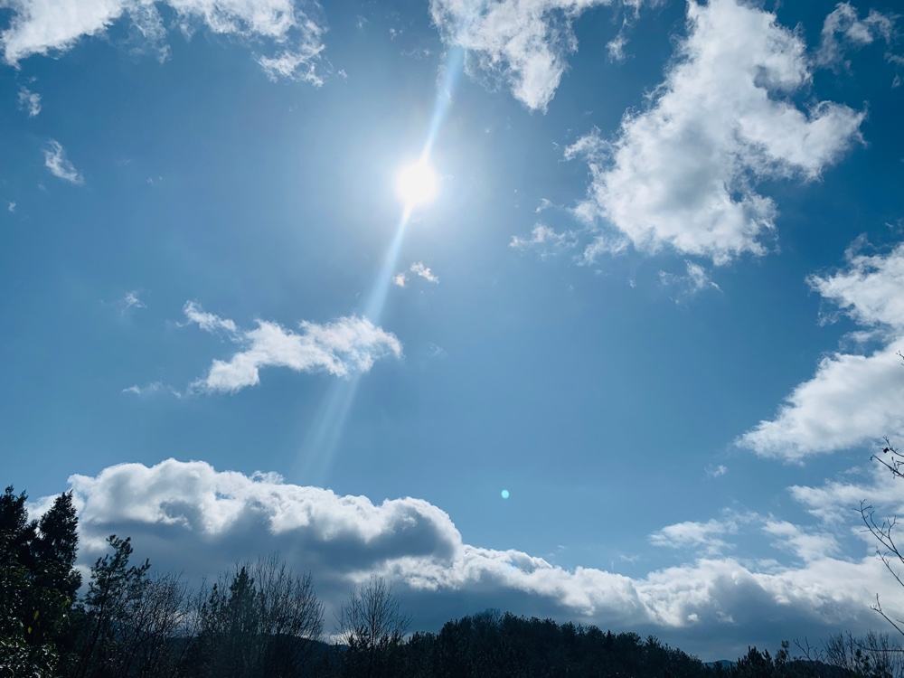 这首词从雨后天睛写起,秋雨之后的睛天,天朗气清,给人神清气爽的感觉