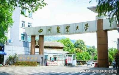 四川省十大高校学科实力英雄版