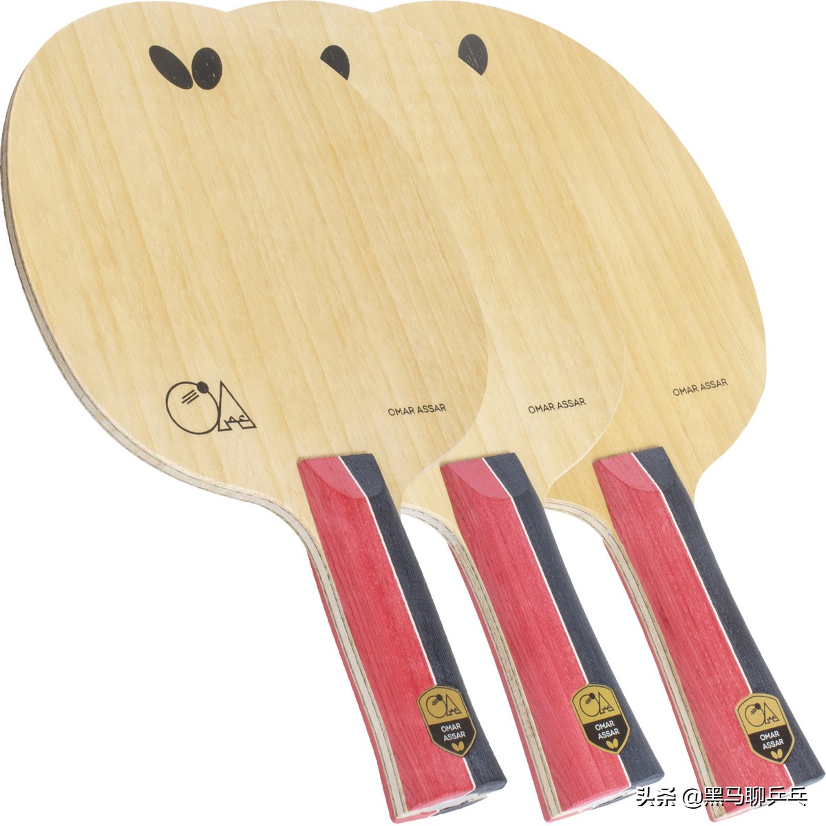 波尔乒乓球底板有几种（每周乒器观察 81：波尔的新底板，龍焱，正胶王者）