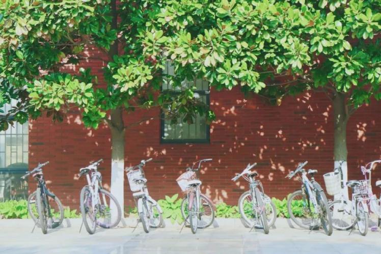 山东师范大学：3个学科世界前1%，第4轮学科评估位列省属高校第一