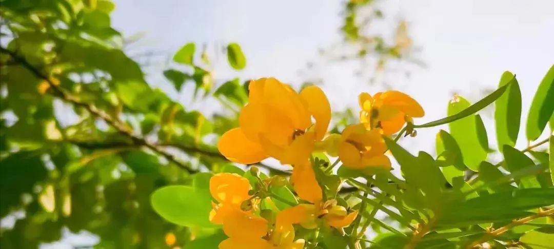 咨询电话！咨询群！广东财经大学21年本科招生咨询方式这里全都有