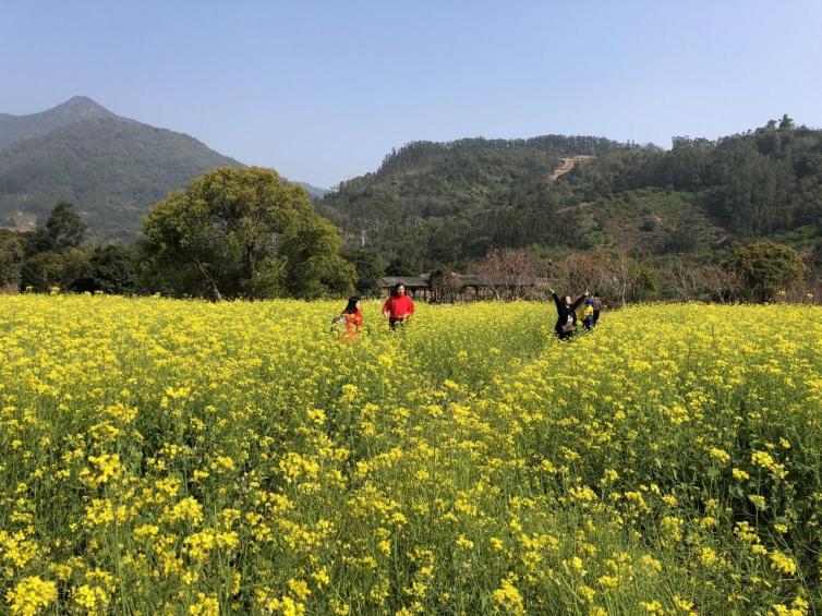 三月福建自驾游景点攻略推荐