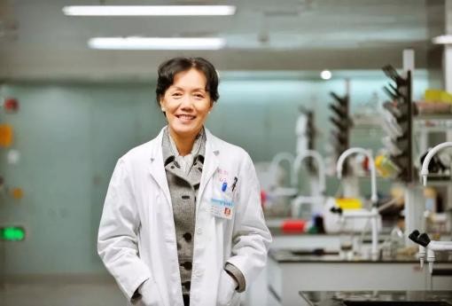 望闻问切！传统医学四大诊法，带你了解70岁的南方医科大学！