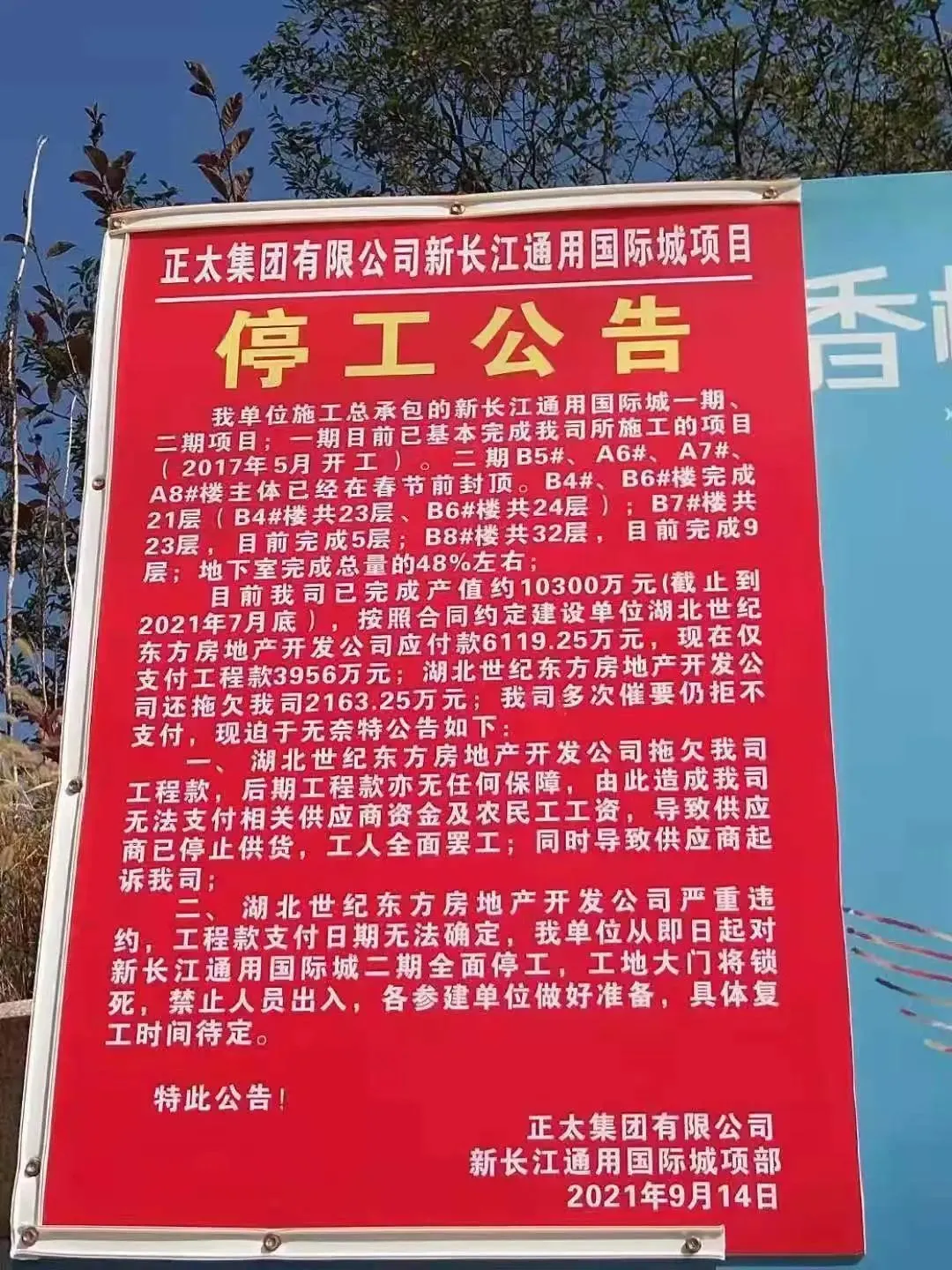 1周涨1次价将成常态?瓷砖成本上涨7-8元/㎡,陶瓷人怎么扛