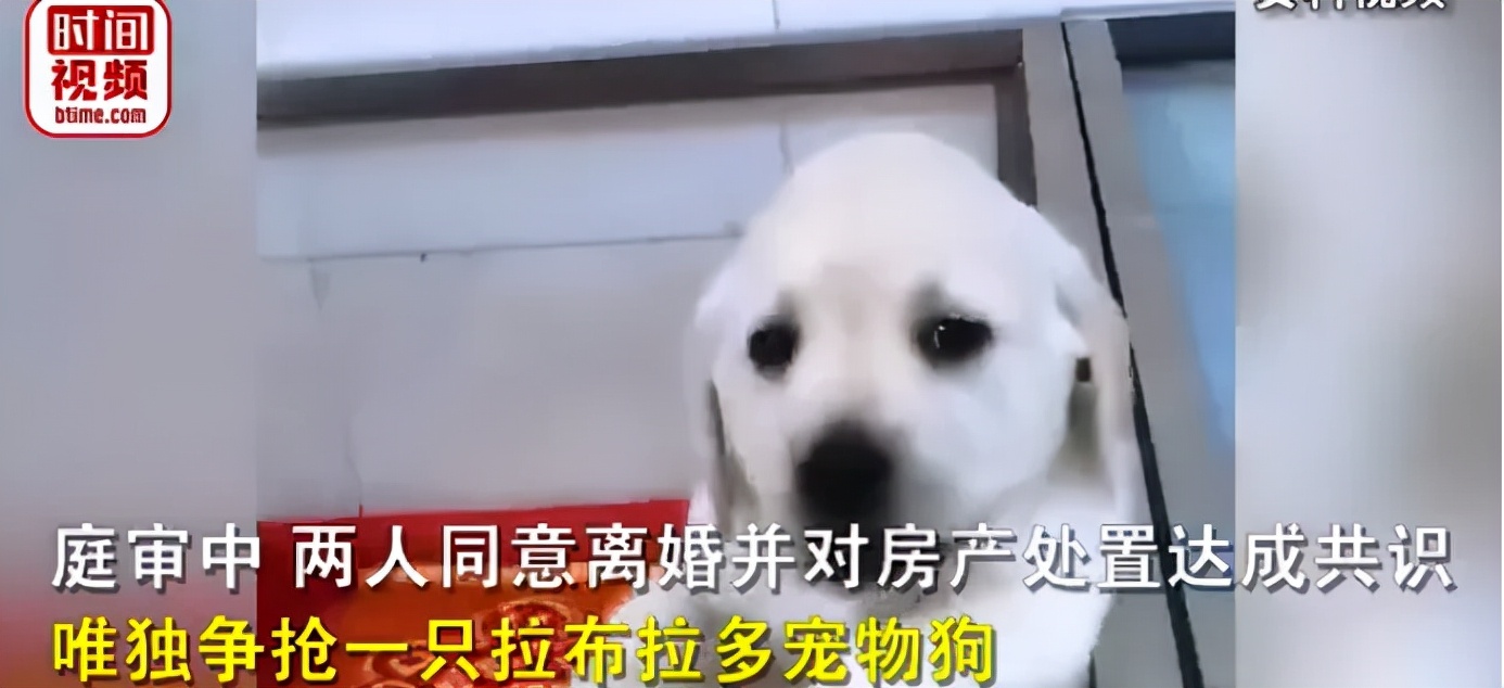 全国律协：对杀害律师的犯罪行为表示强烈谴责！【三分钟法治新闻全知道】