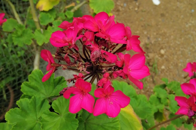 若不懂珍惜，就不配拥有