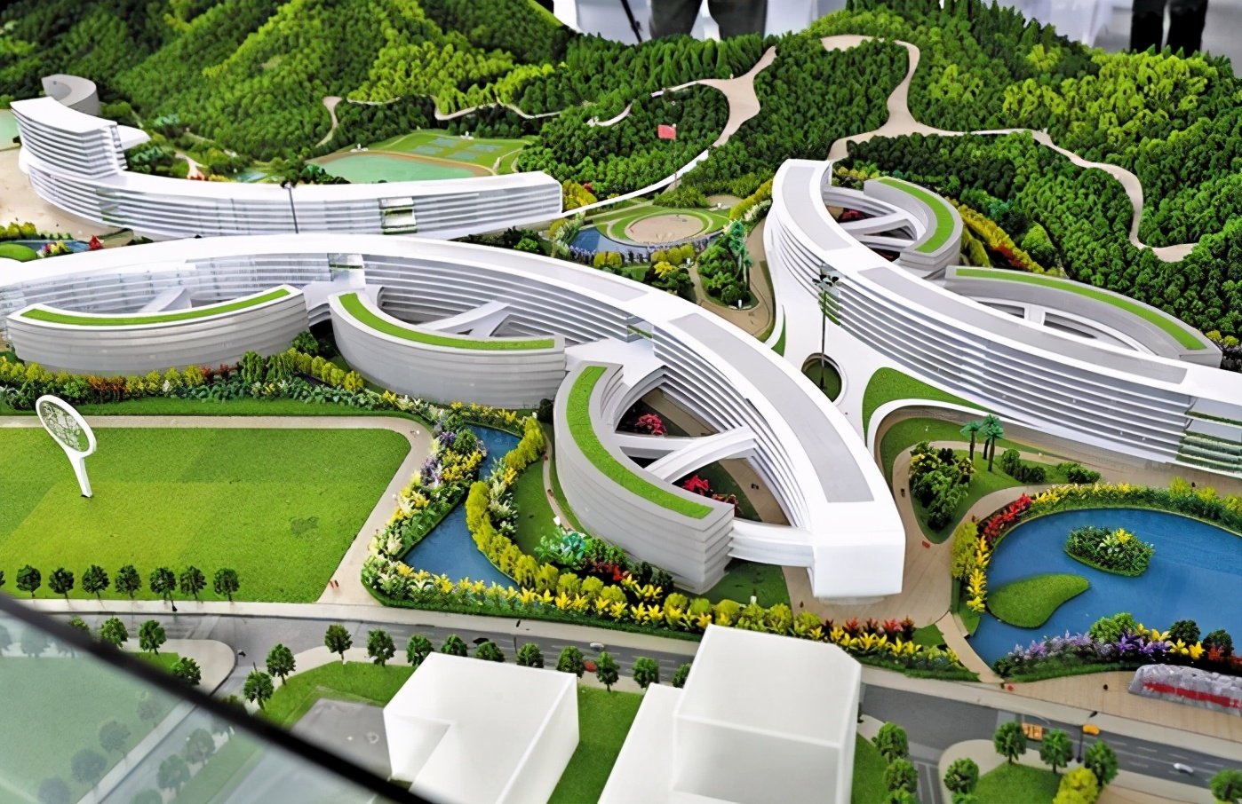 中科院新添一所“重量级”高校，选址深圳，学生：喜从天降