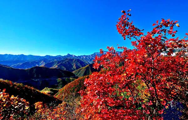 太行山秋色美如画