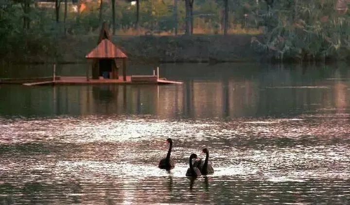 艺考资讯 | 九大美院的校园景色battle，也是神仙打架