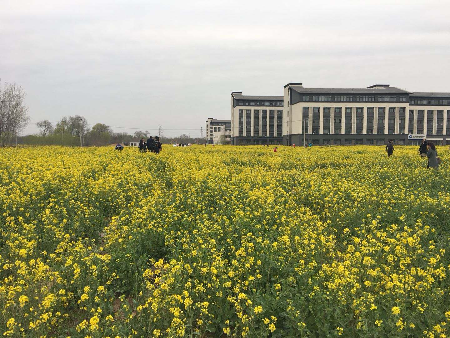 山东菏泽高校大盘点！看菏泽都有哪些大学