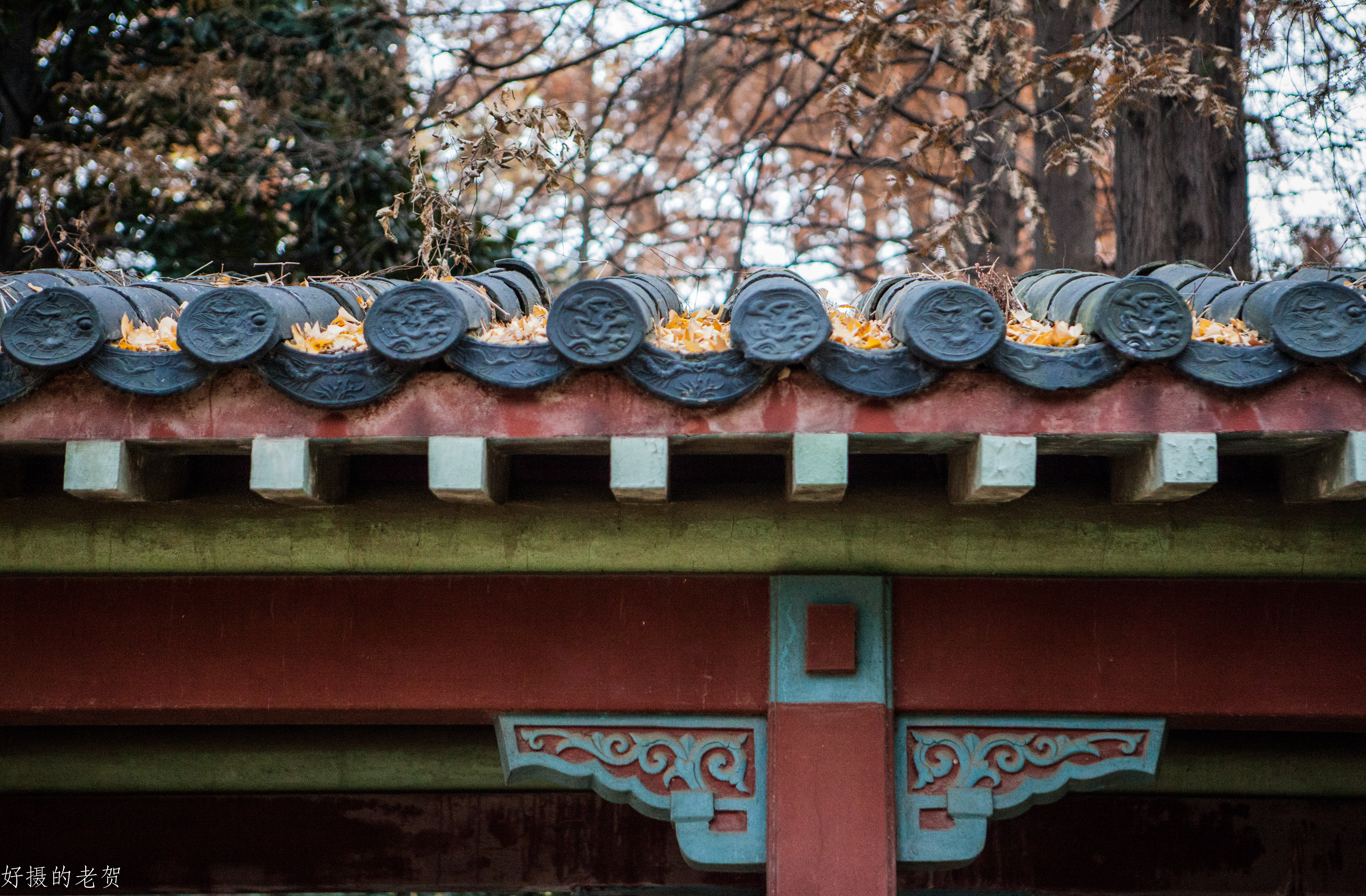 南京师大，曾是中国第一座女子大学，大文豪袁枚的随园所在地