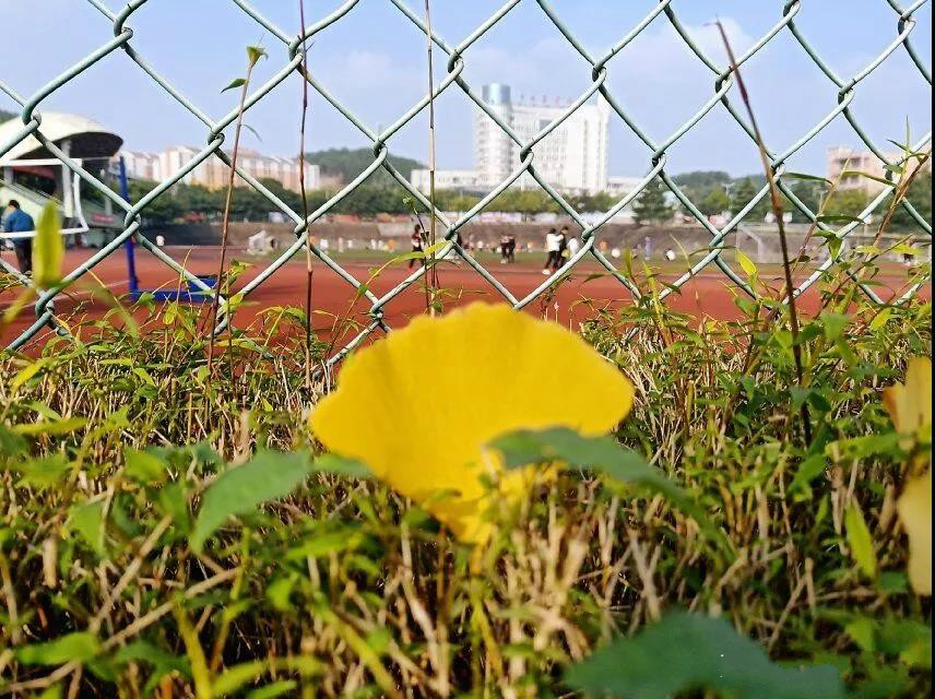 喜讯，四川川北医学院换新校区，投资近50亿，有望“升级”大学