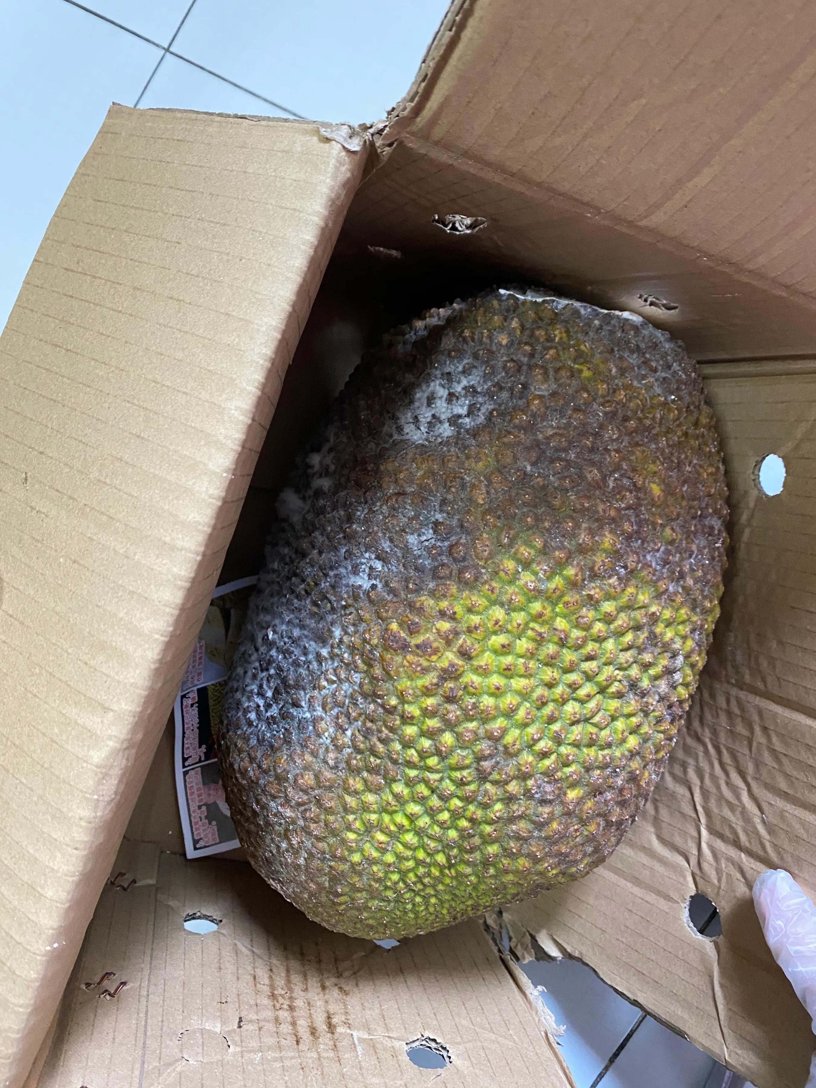 初婚女要不要嫁带孩子的离异男？