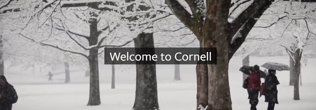 常春藤盟校藏了哪些不为人知的艺术设计专业？