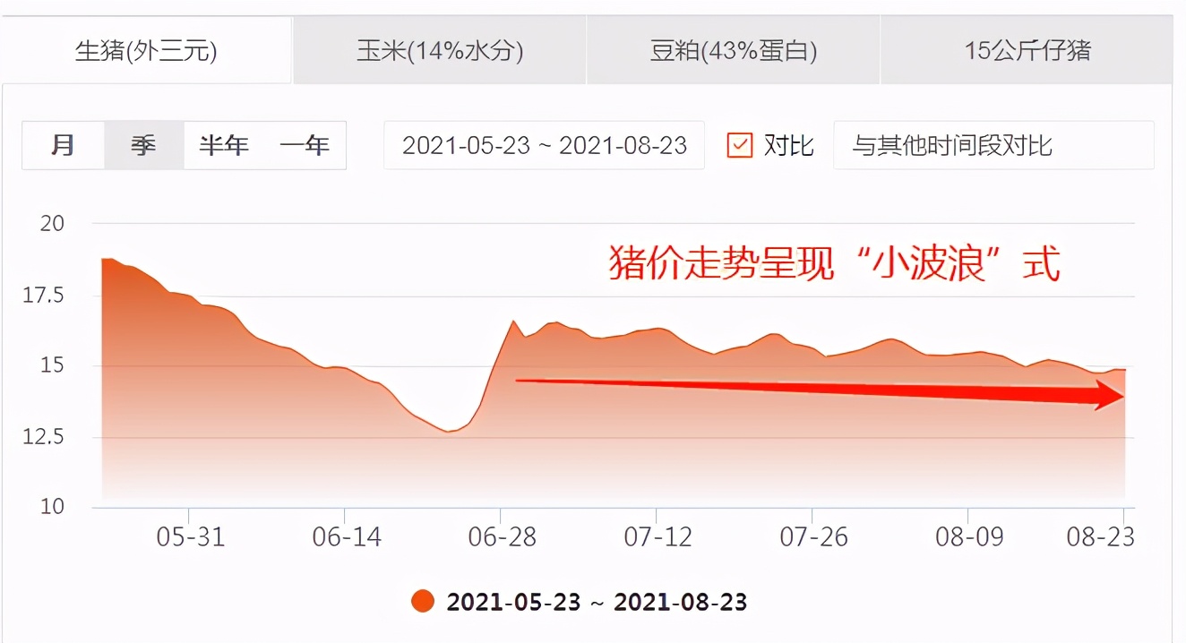 8月23日15公斤仔猪价格：猪价波浪式蠕动，仔猪翻身无望？