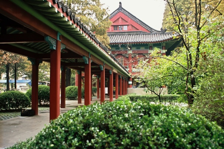 刘芳美术245分预估文化520分，能被南京师范大学录取吗？