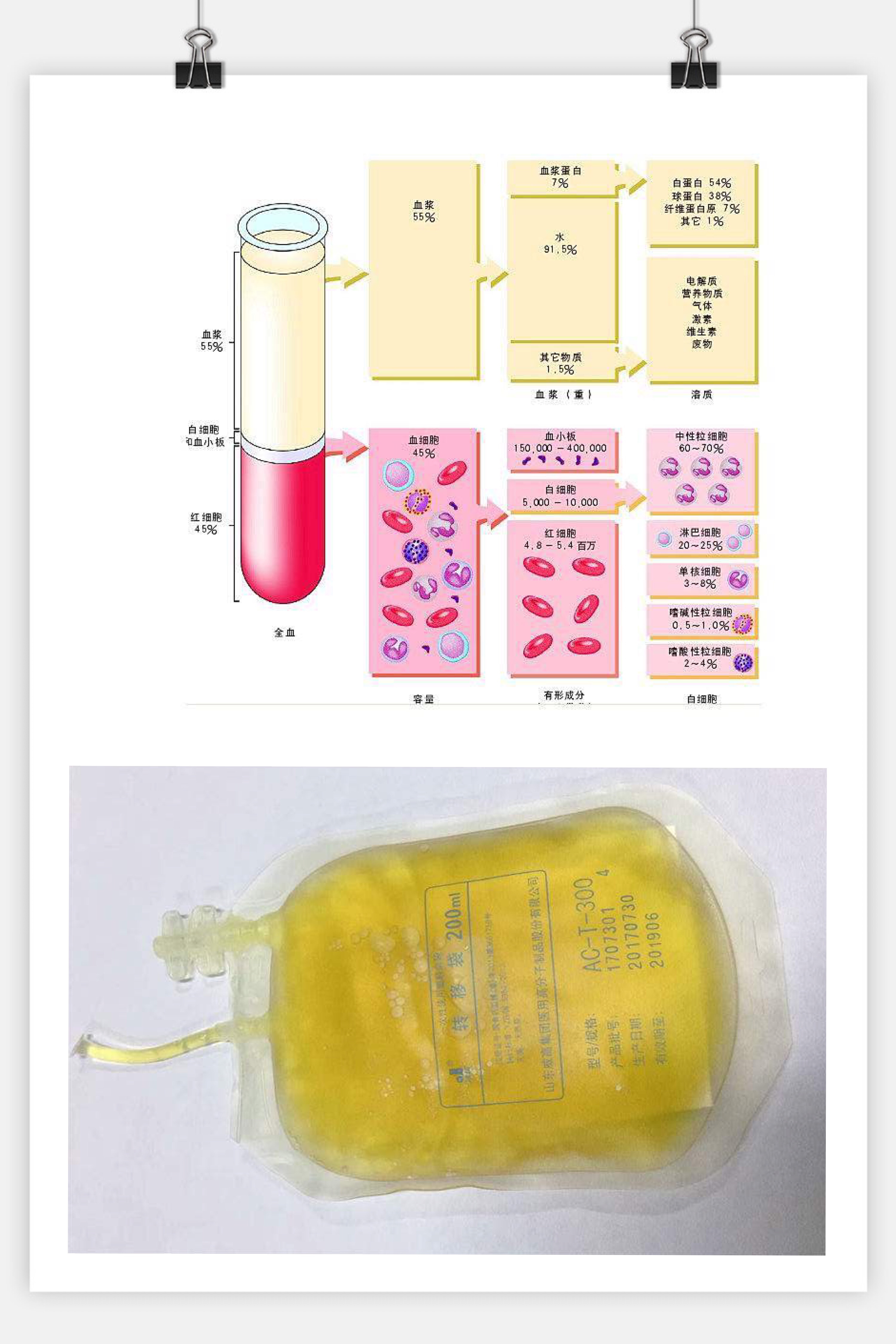 血液和血浆的区别血浆好还是血液好