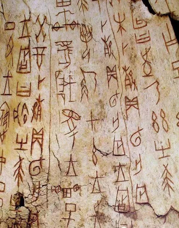由于连年征战,妇好终因积劳成疾,也有甲骨卜辞上是因为难产而去世的.