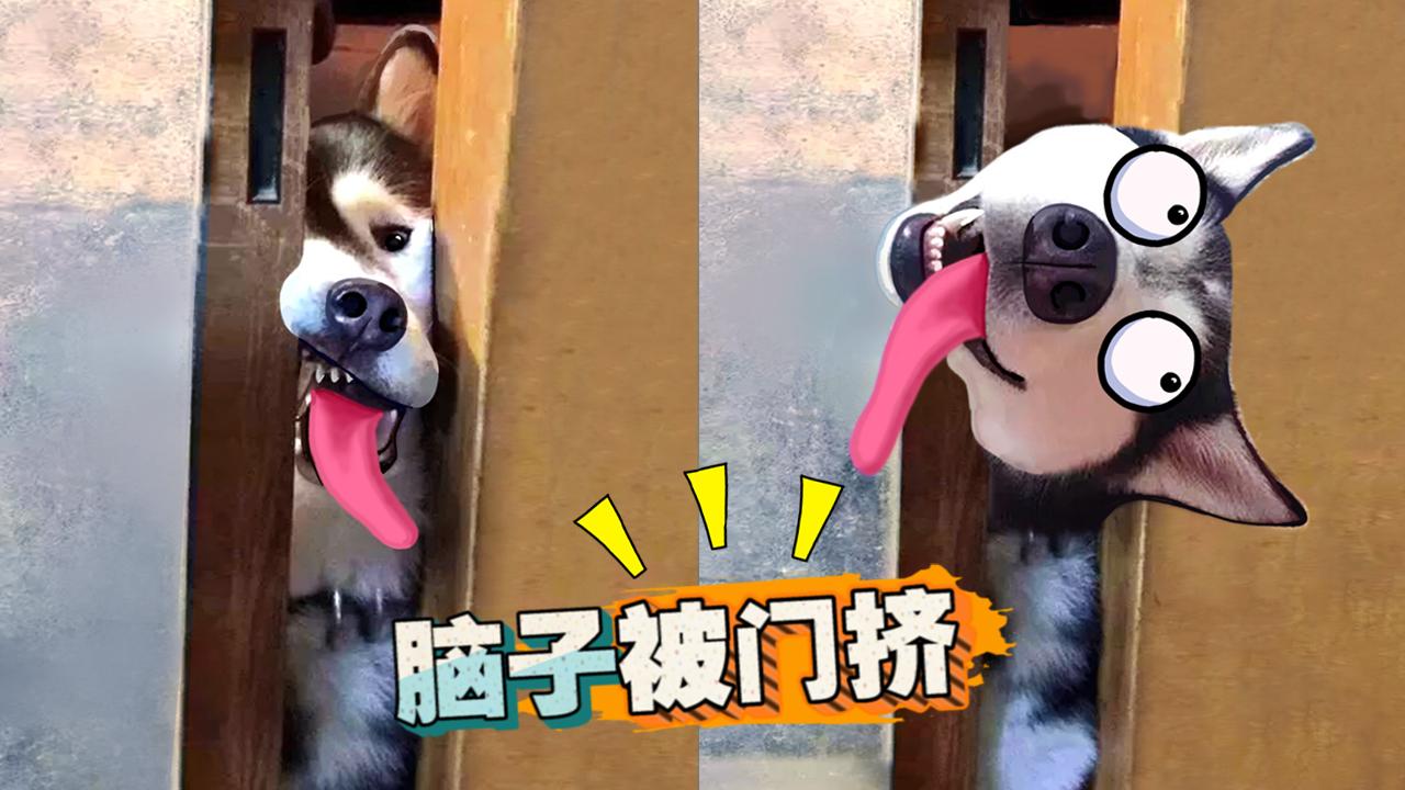 海南女生考上北方双一流大学，开学几天却退学，被网友质疑太矫情