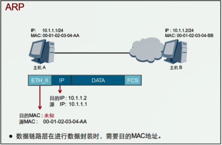 「网工小白必备」全网最详细的网络基础之ARP协议