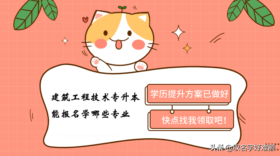 建筑工程技术专升本能报名学哪些专业和去什么学校报名学习？