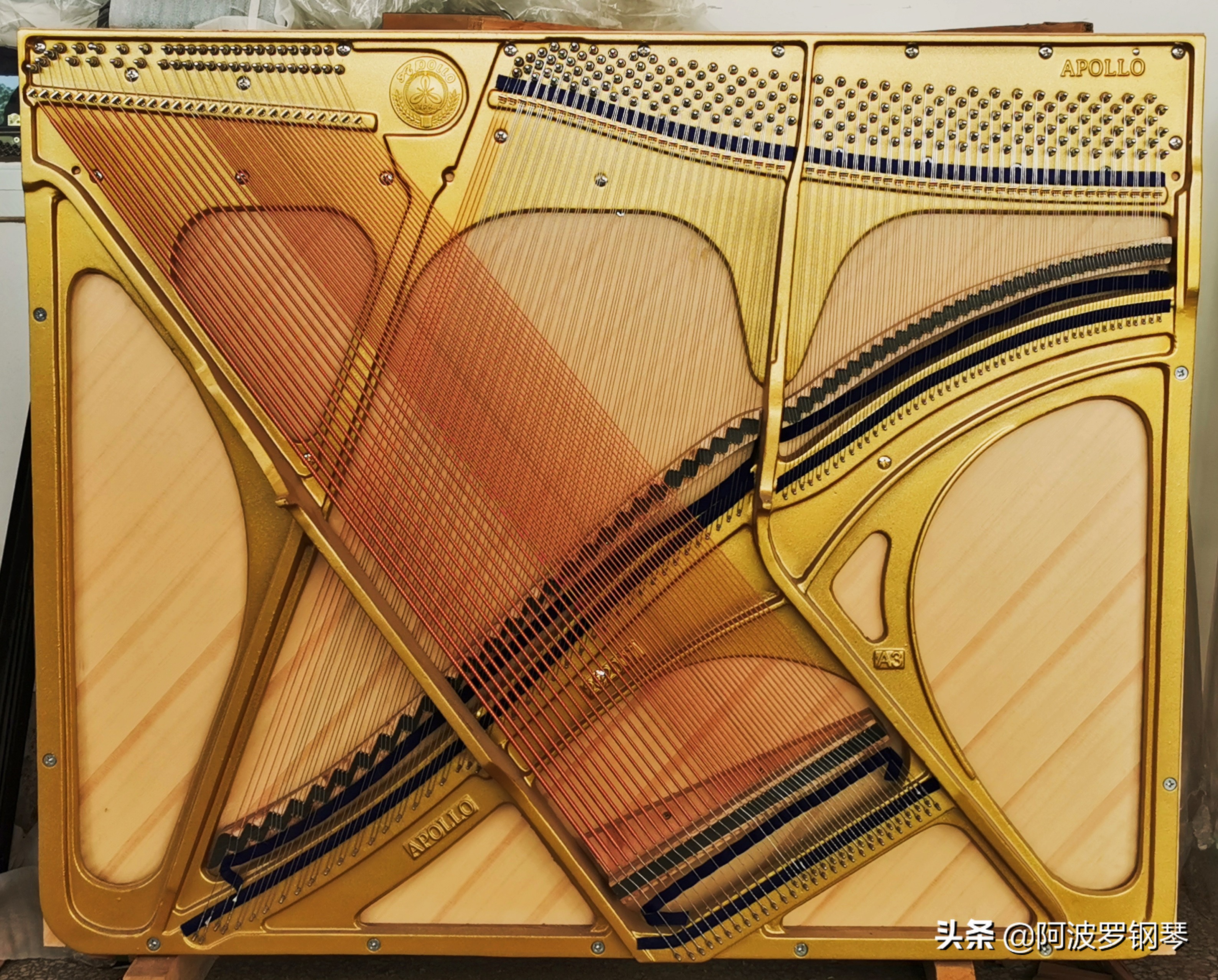 选择APOLLO钢琴的十大理由~总有一个让你心动