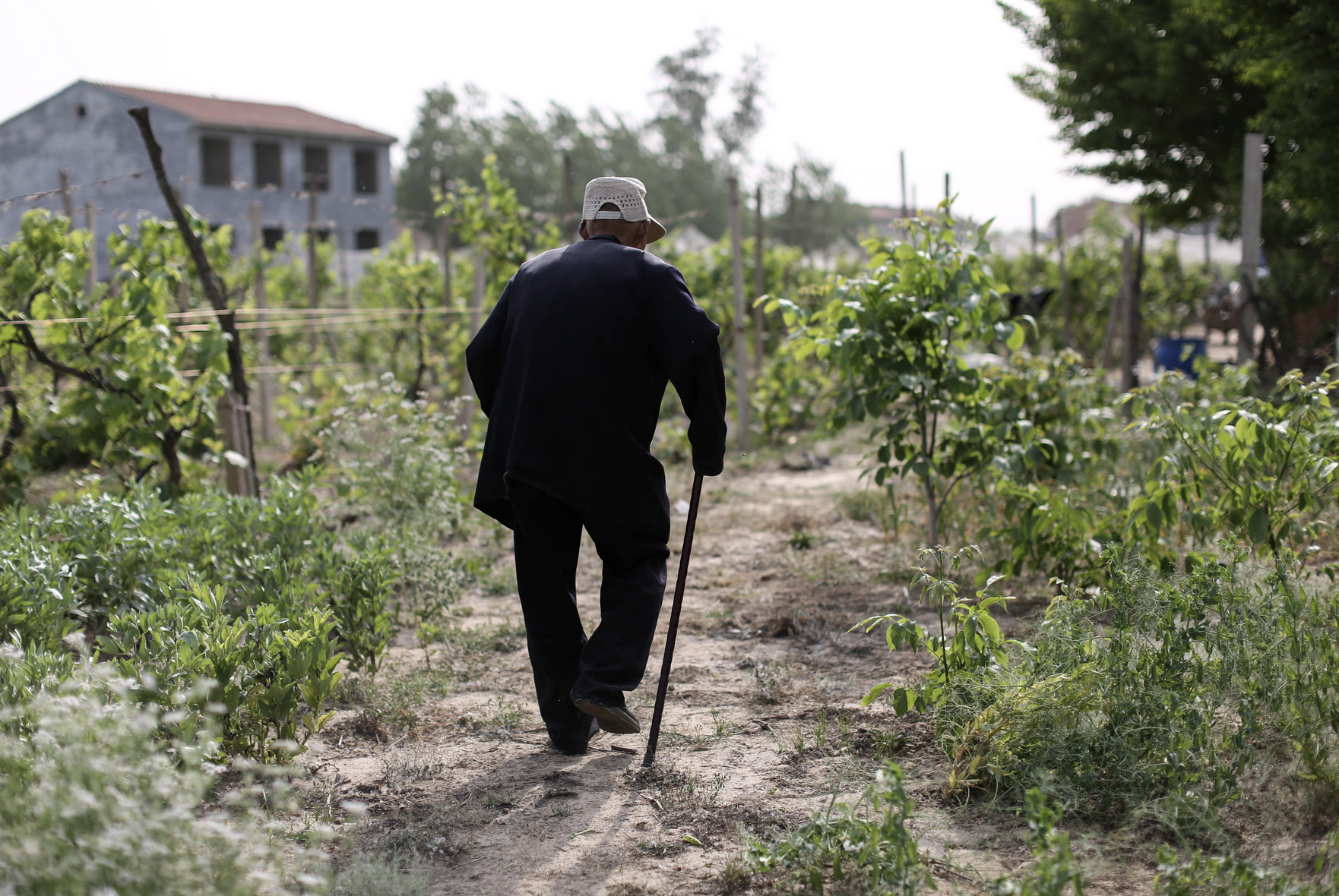 曾有机会考清华，却被错误关押12年，申诉横跨半世纪，安徽86岁老人无罪后拿不到国家赔偿