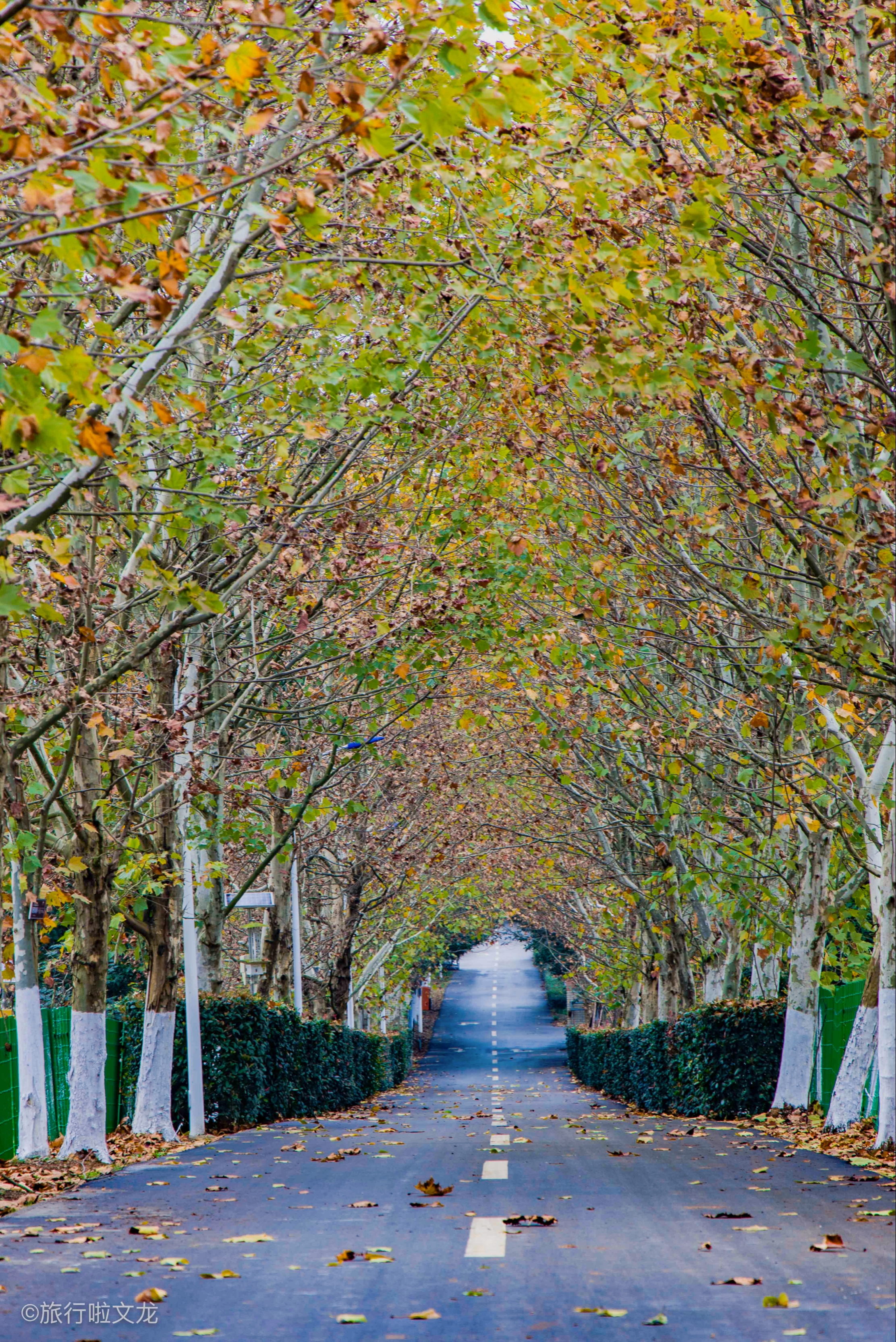 凤凰沟风景区凤凰沟风景区介绍