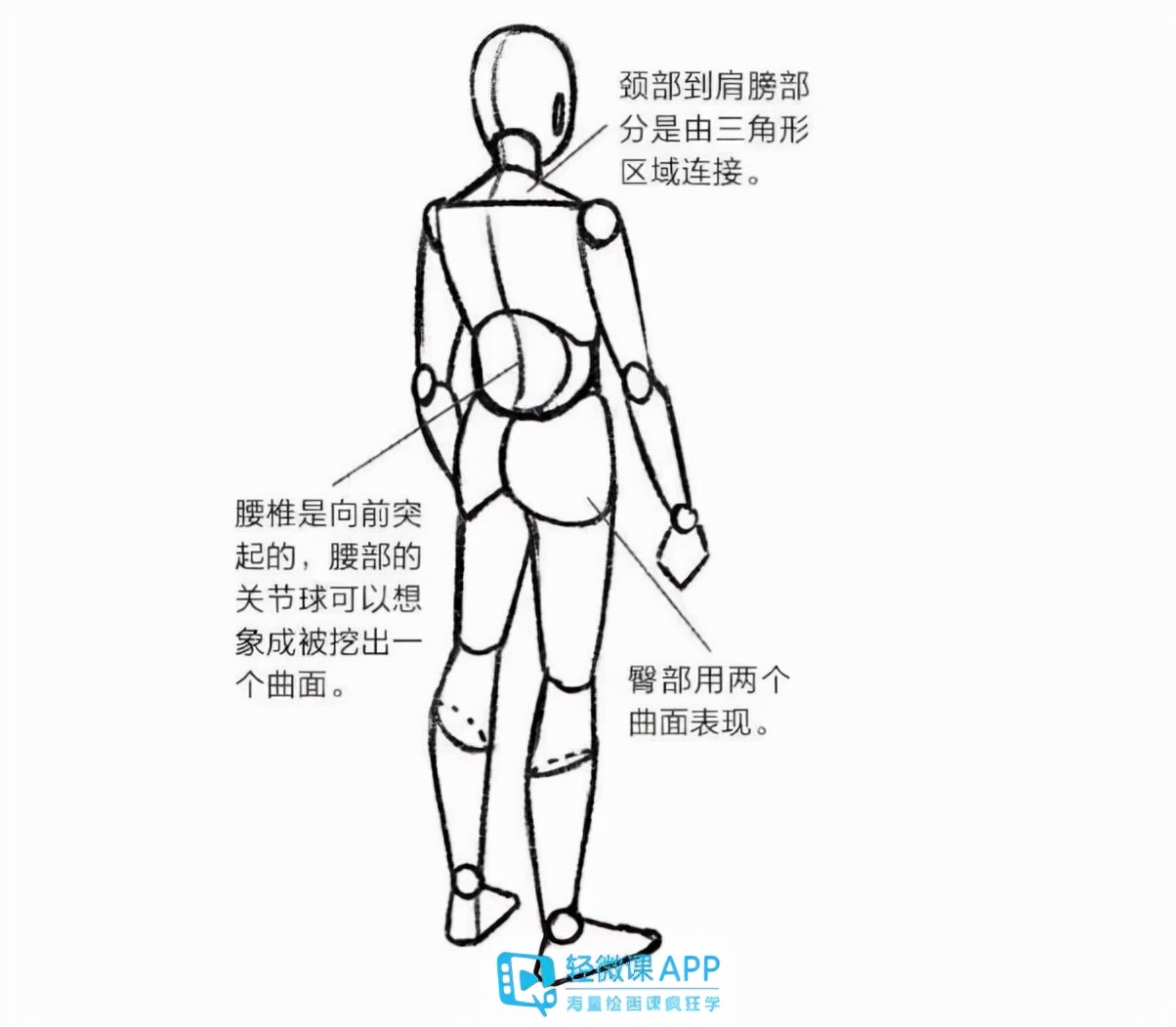 人体怎么画漫画人体结构绘画入门