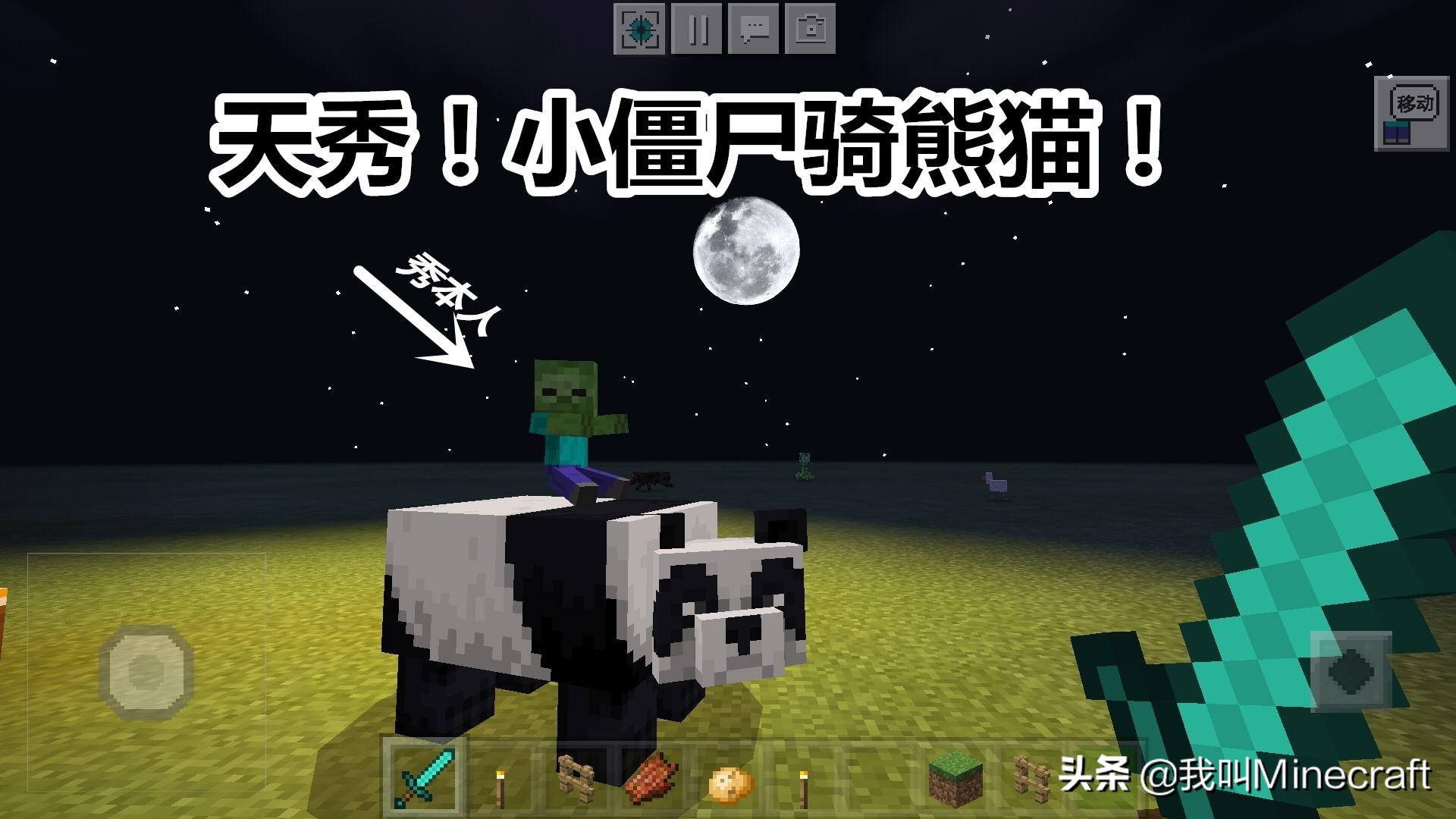 我的世界：熊猫如何驯服？新版MC的3种乘骑方法，你选哪个？