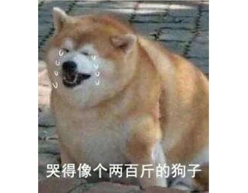 家中有娃的注意了！再也不用担心孩子没学上了