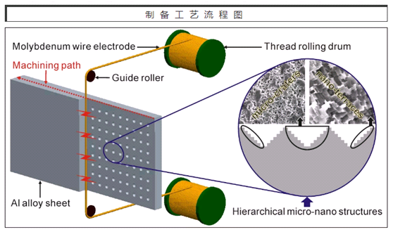陕西85后博士：以第一作者发表15篇SCI论文，申请5项国家发明专利！