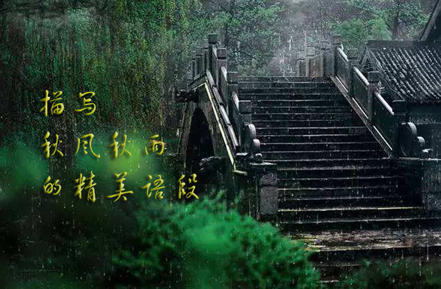 秋日傲霜菊，千姿百态绽芳华