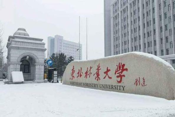 东北林业大学考研难吗（考研难度最小的5所211）