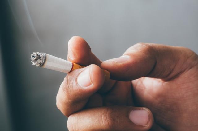狗狗打鼻鼾是熟睡的表现？有可能是疾病的征兆！如何缓解狗狗打鼾