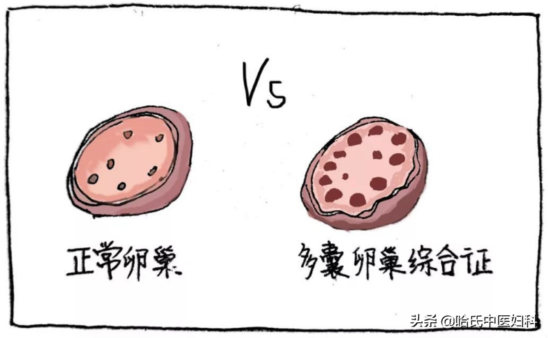 卵泡长不大长得慢？备孕女性这样做，轻松助好孕